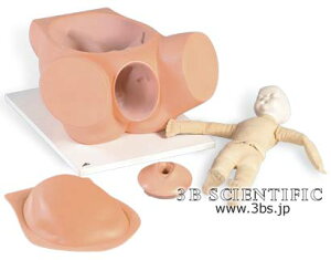 �y���������z�y�������N���k �Ώې��i�z���E� 3B�T�C�G���t�B�e�B�b�N�ЕW���^�o�Y�V�~�����[�^�[ �l�̖͌^