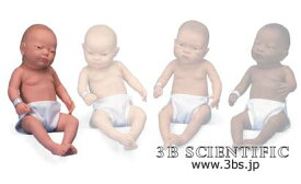 【送料無料】世界基準 3Bサイエンフィティック社白人系ベビーケアモデル（女児） 人体模型