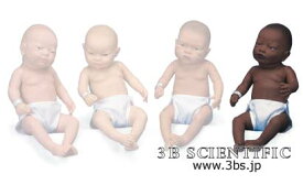 【送料無料】世界基準 3Bサイエンフィティック社アフリカ人系ベビーケアモデル（男児） 人体模型