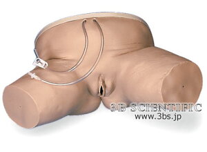 yzyNk ΏېizE 3BTCGtBeBbNЏA@V~[^[ l̖͌^