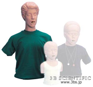 �y���������z�y�������N���k�t�z���E� 3B�T�C�G���t�B�e�B�b�N�А��l�ٕ��������f�� �l�̖͌^