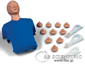 【送料無料】【無料健康相談付】世界基準 3Bサイエンフィティック社成人心肺蘇生トルソー 人体模型