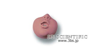 yzE 3BTCGtBeBbNЃtFCX}XNA10iW44547pj l̖͌^