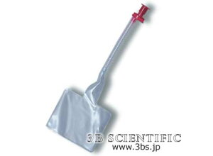 【送料無料】【無料健康相談 対象製品】世界基準 3Bサイエンフィティック社エアウェイシステム、24個(W44547用) 人体模型