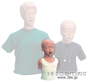 yzyNk ΏېizE 3BTCGtBeBbNЏٕf l̖͌^