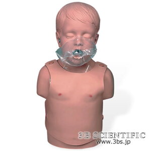 �y���������z�y�������N���k �Ώې��i�z���E� 3B�T�C�G���t�B�e�B�b�N�Џ����S�x�h���@�g���\�[���f�� �l�̖͌^