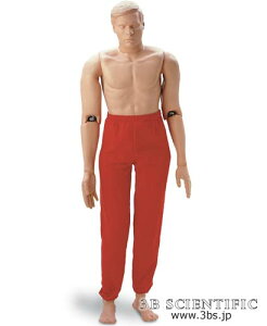 yzyNk ΏېizE 3BTCGtBeBbNЃXL[}lL 177cm/66kg l̖͌^