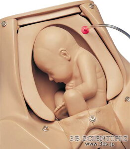 �y���������z�y�������N���k �Ώې��i�z���E� 3B�T�C�G���t�B�e�B�b�N�Ж��֐ߑَ��t�A���I�|���h��Z�p���W���[��(W45025�p) �l�̖͌^