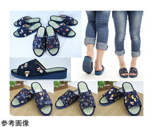 ACEGXEG ߁@a@݃T_@킹g{@LTCY@20 1P[X(20) K11545