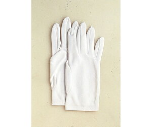 ӂ ۍƎ܁@iCW@M 1o 550