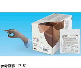 ニプロ GAMMEXR　Latex　Micro　6.0　ライトブラウン　50双入 1箱(50双入) 20608
