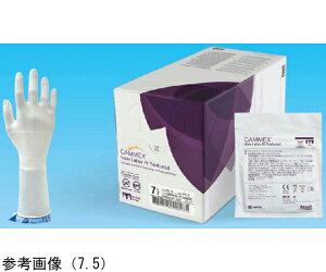 �j�v�� GAMMEXR�@PI�@Textured�@8.0�@�z���C�g�@50�o�� 1��(50�o��) 20640