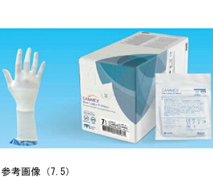 �j�v�� GAMMEXR�@PI�@Micro�@8.0�@�z���C�g�@50�o�� 1��(50�o��) 20661