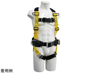 ^XR tn[lX@LTCY 1 TA966WJ-3