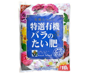 Ԃ IL@ô@10L×5ܓ 1(5ܓ)