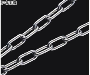 ӂ JbgM[`F[iXeX`F[j@2.0mm×2m 1{ A2-2