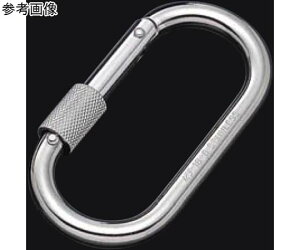 ふじわら カラビナ123型 環付き 10mm 1個 KA10K