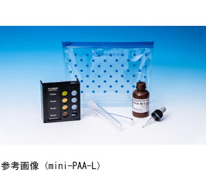錤 ȈՌ^mini-PAA-L 1