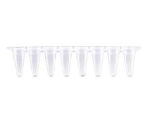 GUNSTER ���A���^�C��PCR 8�A�`���[�u��8�A�t���b�g�L���b�v 0.1ml �i�`�������@960�{�� 1��(960�{��) MB-Q100C