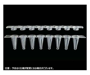 Novas Bio 0.1mL 8A[vt@C`[u ǃ^Cv 8ANALbv@960{ 1(960{) PCR-0108LP-TCP-C