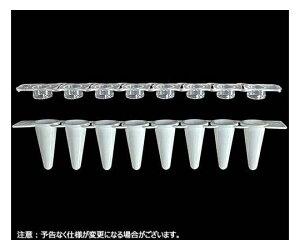 Novas Bio 0.1mL 8A[vt@C`[u Fǃ^Cv 8ANALbv@960{ 1(960{) PCR-0108LP-TCP-W