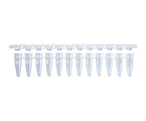 BMBio�@ECO PCR 12�A�`���[�u��12�A�t���b�g�L���b�v 0.2ml �i�`������ 1�Z�b�g�i960�{×10���j 1�Z�b�g(960�{×10��) PCR-12S