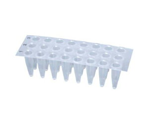 BMBio@ECO PCRv[g 24well Vv[g 0.2ml i`@50 1(50) PCR-24-I