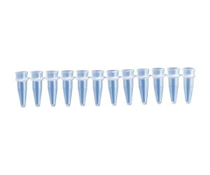 BMBio�@ECO PCR 12�A�`���[�u 0.2ml �i�`�������@960�{�� 1��(960�{��) T-3114-1