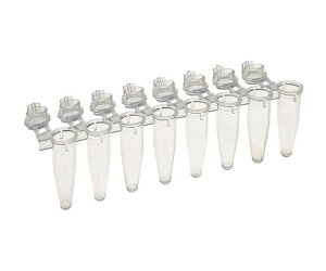 Simport PCR 8�A�`���[�u���V���O�����b�N�t���b�g�L���b�v 0.2ml �i�`������ 1�Z�b�g�i1000�{×5���j 1�Z�b�g(1000�{×5��) T320-2N
