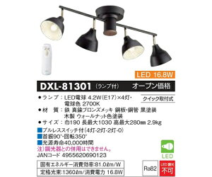 d@ LED4X|bgCgVfA 1 DXL-81301