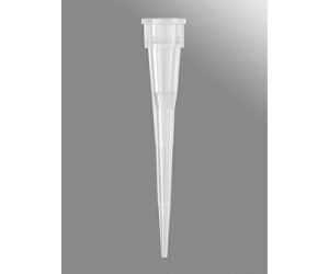 R[jOEAxygen 10l P2/P10M\X^C`bv  tBbN@960×5pbN 1P[X(960×5pbN) RFL-300-C