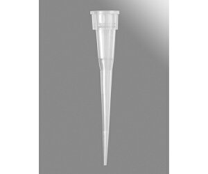 R[jOEAxygen 10l }CN{[`bv }LV}Jo[  X^bNbN@480×10pbN 1P[X(480×10pbN) T-300-L-STK