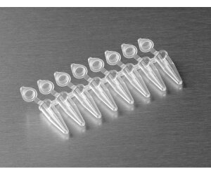 R[jOEAxygen PCR8A`[u0.2mL  h[Lbv̌^@126×10pbN 1P[X(126×10pbN) PCR-0208-AD-C