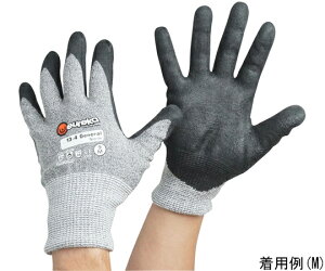 Y.Berger&Coieurekaj ϐؑn܁@WFljg@TCY8iSj 1o 13-4GNI