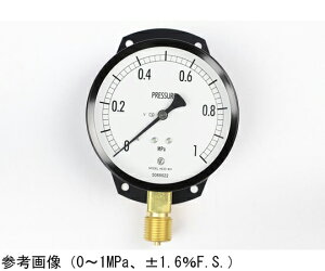 ����v�� ���ʌ`���͌v�i��100�j ���`C�g �ϐU�p 2.5MPa 1�� AE20-841