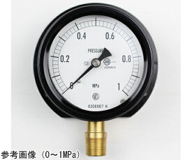 長野計器 密閉型圧力計（75Φ） 立形B枠 0.6MPa 1個 BC12-281