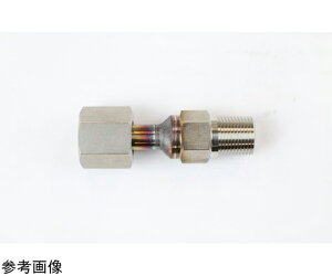 v WCg G3/8×R3/8 SUS 1 FJ30-383