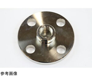 v WCg G1/2×JIS10K15ARF SUS 1 FJ40-443