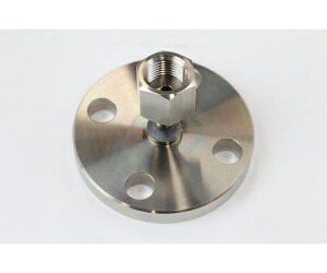 v WCg G1/2×JIS10K 16K15AFF SUS 1 FJ48-443