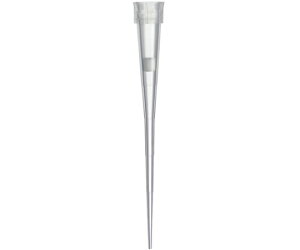 Fisherbrand Fisherbrand SureOne Filter Tips/�V���A�����s�y�b�g�`�b�v/�t�B���^�[�`�b�v 0.1-20��L 4.57cm 1�{×960�{�� 1�Z�b�g(960�{��) 02-707-470