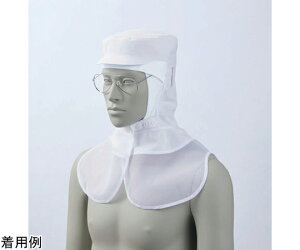 Zu ЖXq p  GR LL 1 9-1531 LL