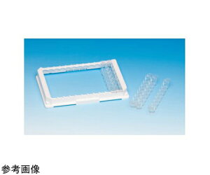 Nalge@Nunc@iT[tBbV[TCGeBtBbNj CmW[ F8 |\[v 1(160×4) 469957