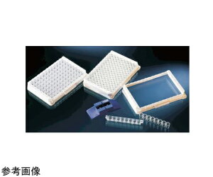 Nalge@Nunc@iT[tBbV[TCGeBtBbNj CmuCNAp[gW[v[g }LV\[v 1(10×6) 473768