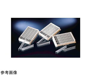 Nalge@Nunc@iT[tBbV[TCGeBtBbNj CmbNEFW[v[g C8 fB\[v NA 1(10×6) 446470