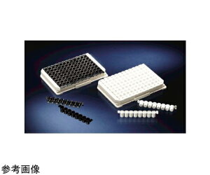 Nalge@Nunc@iT[tBbV[TCGeBtBbNj CmbNEFW[v[g C8 |\[v ubN 1(10×6) 446473