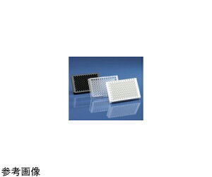 BRAND }CNv[g96F  ŋ 50 1(50) 781968