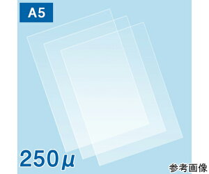 tWebNX ~l[gtB250 A5TCY 1000 1P[X(100×10)