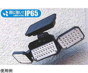 ACK[c[ \[[ZT[Cg L͈͏Ǝ˃^Cv 1 EDS0795