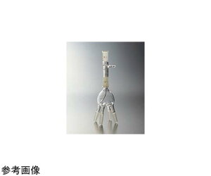 RXXr[hiVIDTECj  24/40-15/35 ʐZbg pǌ` 4{ 1 1845-04-1