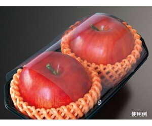 pbNX^C | PS BPt[c|уtB  1000×5pbN 1P[X(1000×5pbN) 506578